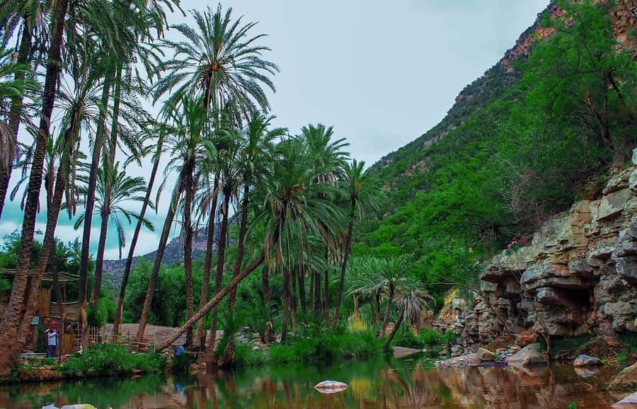 Agadir or Taghazout: Paradise Valley Atlas Mountain Trip - The botanical garden and Argan House stop