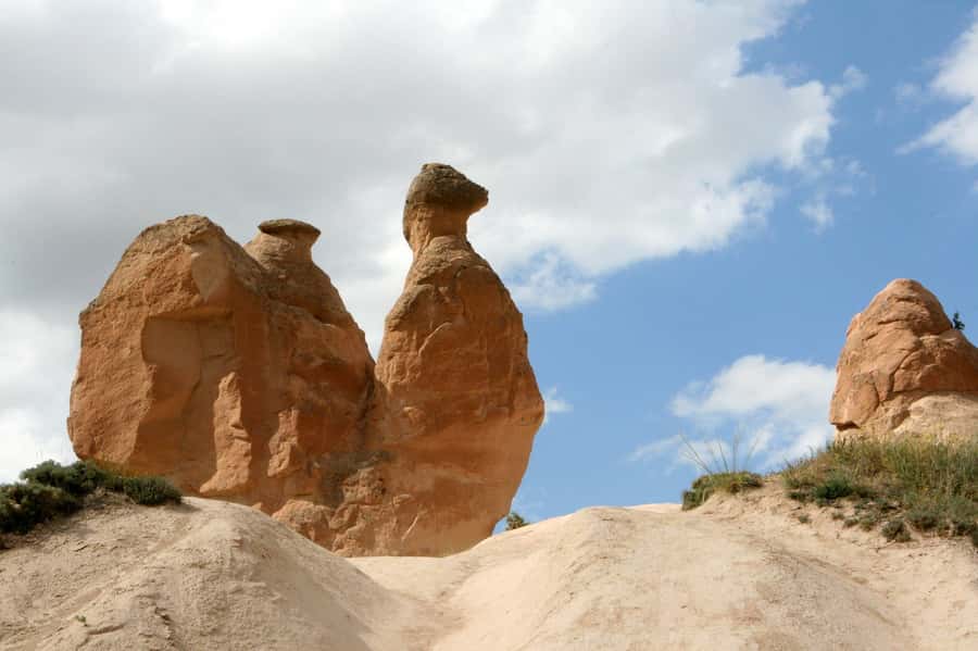 Agadir or Taghazout: Paradise Valley Atlas Mountains - Swimming, drinks, and free time in the oasis