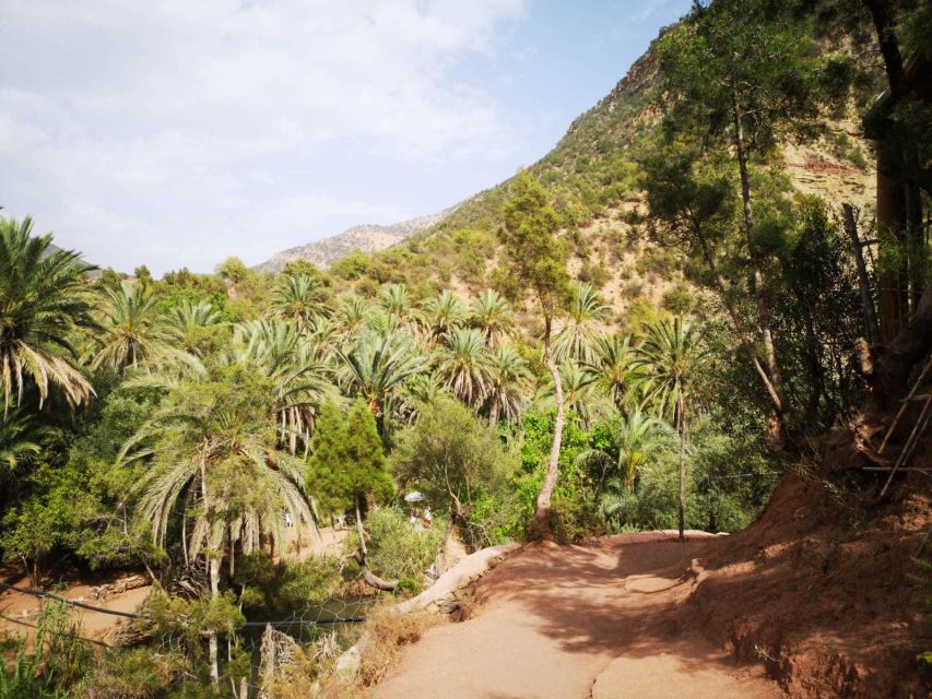 Agadir or Taghazout: Paradise Valley Atlas Mountains Tour - Palm trees, rock pools, and a cool swim