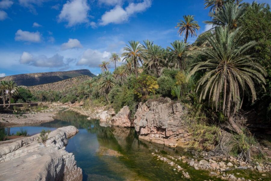 Agadir or Taghazout: Paradise Valley Atlas Mountains Tour - What the guides add to a low-cost outing