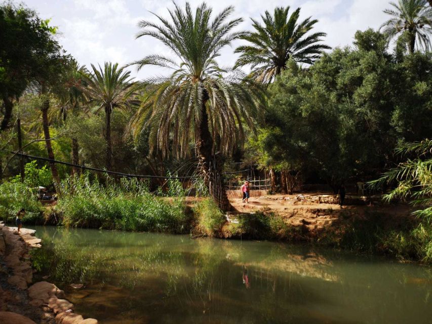 Agadir or Taghazout: Paradise Valley Atlas Mountains Tour - Is the $21 price good value?