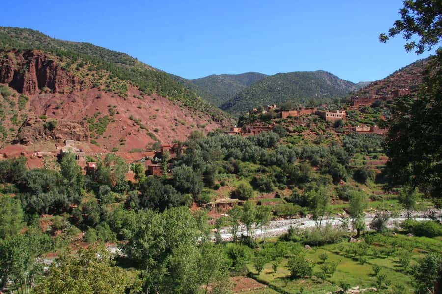 Agadir or Taghazout: Paradise Valley & Atlas Mountains Trip - From Agadir to the Atlas foothills