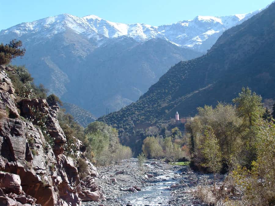 Agadir or Taghazout: Paradise Valley & Atlas Mountains Trip - Natural pools, cold water, and limited time