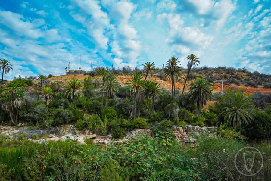 Agadir or Taghazout: Paradise Valley with Lunch & Transfers - The guides are a major part of the value