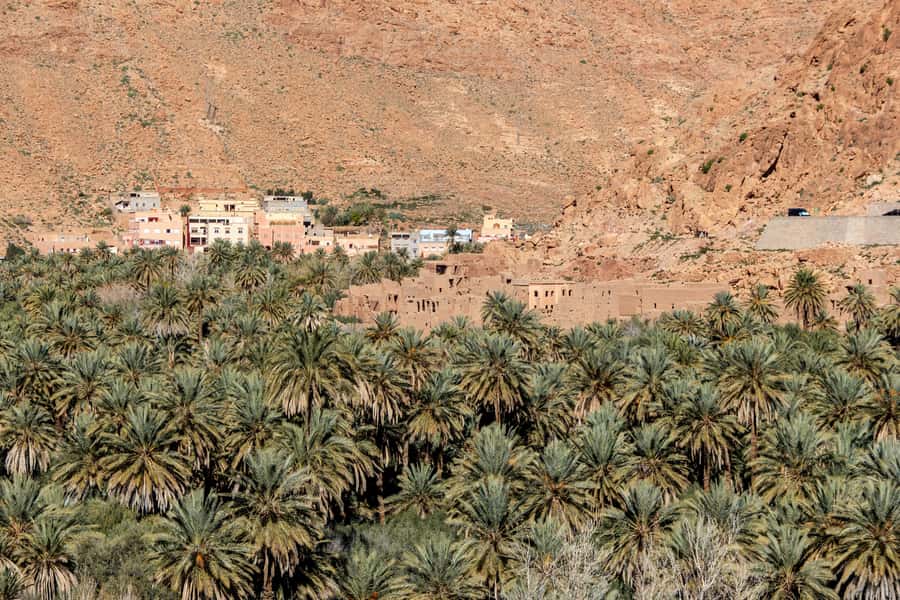 Agadir or Taghazout: Paradise Valley with Lunch & Transfers - The botanic garden and argan cooperative stops