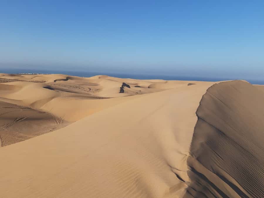 Agadir: Paradise Valley & Desert Sand Dunes with Camel Ride - A homemade Moroccan lunch near Tamri