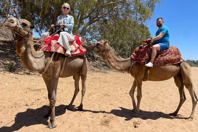 Agadir Quad ATV Adventure Tour with Berber Tea Experience - Back on the quads for the second ride