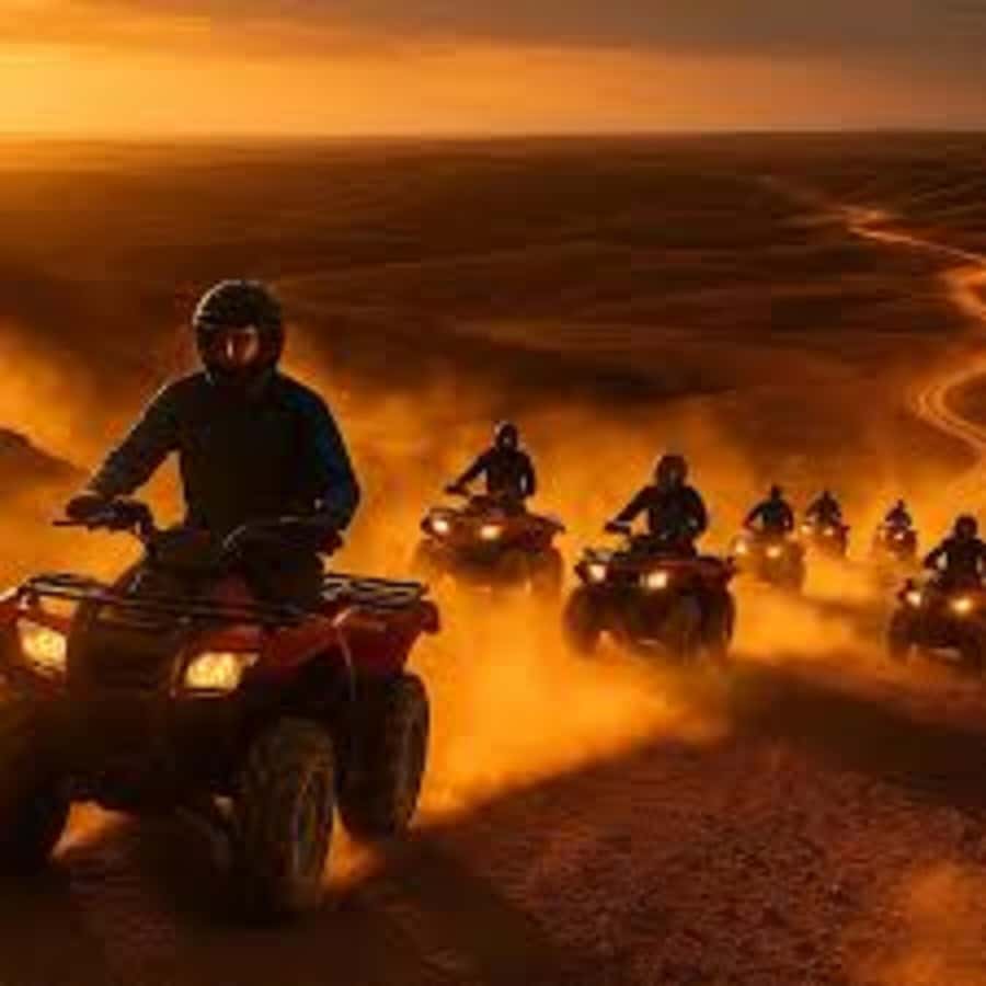 Agadir: Quad Bike Safari Desert With Moroccan Tea - Goats climbing argan trees make the unusual photo stop