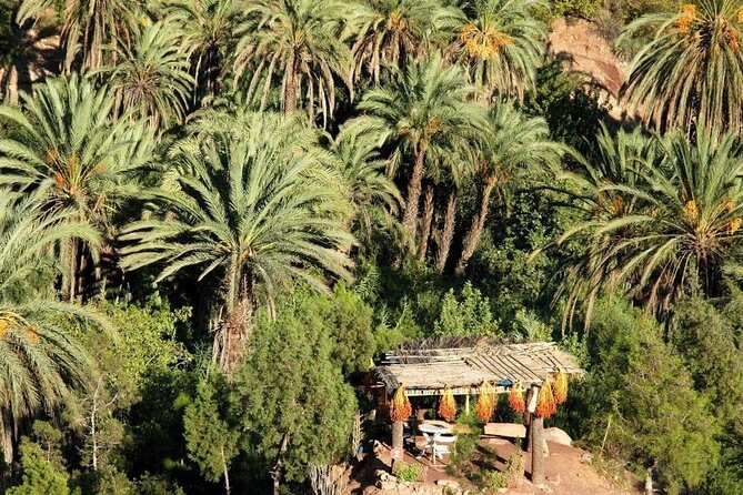 Agadir Quad Biking on the Beach & Sandboarding in the Desert - Who should book this experience?