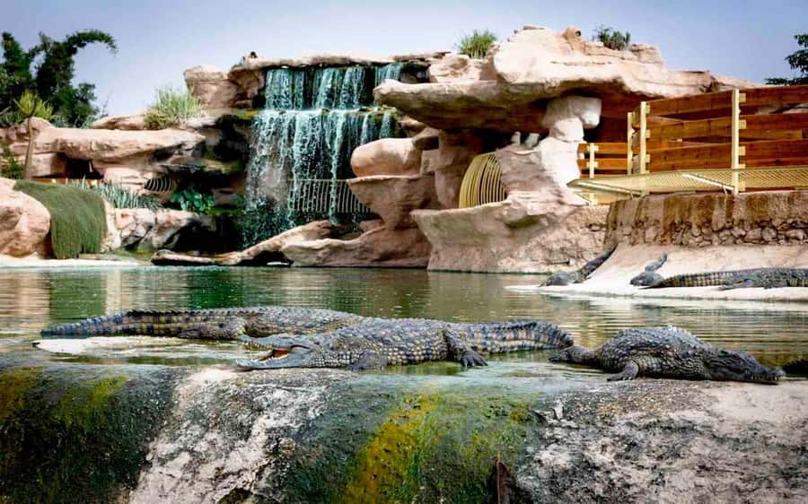Agadir: Quad Safari with Crocoparc Optional - The Best Parts of This Agadir Adventure