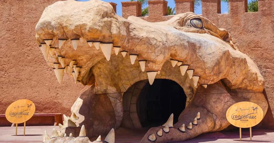 Agadir: Quad Safari with Crocoparc Optional - Timing the Ride and Crocoparc