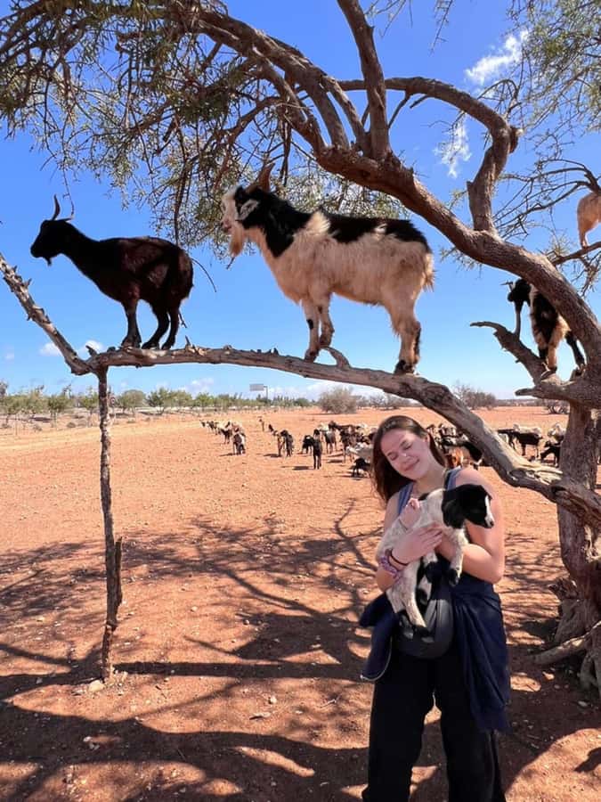 Agadir: Quad Safari with Crocoparc Optional - The Quad Route Through Souss-Massa