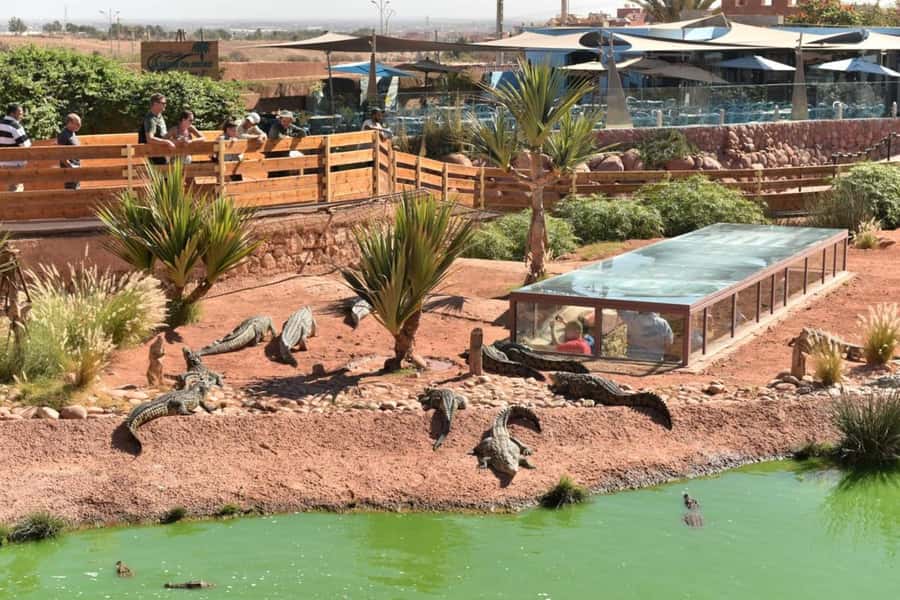 Agadir: Quad Safari with Crocoparc Optional - Mint Tea, Biscuits, and a Needed Pause