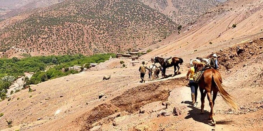 Agadir: Quad Safari with Crocoparc Optional - Crocoparc and Its 300 Nile Crocodiles