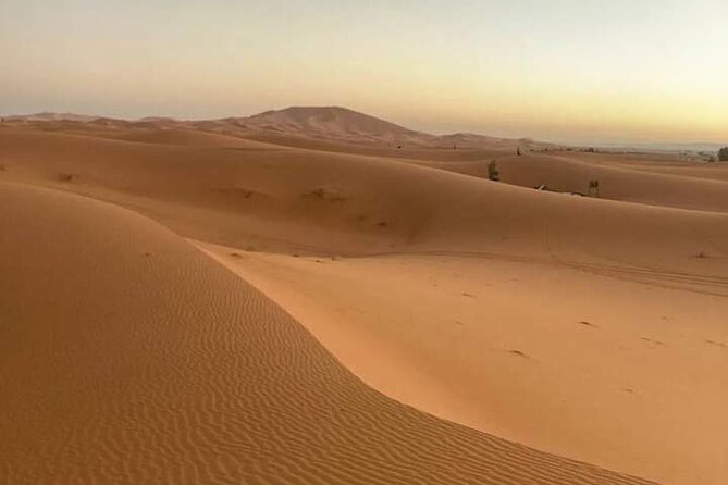 Agadir Sahara Day Trip with Lunch - The small desert, banana plantation, and oasis