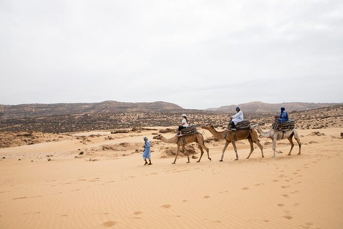 Agadir Sand Dunes and Camel Ride in Tifnit with Lunch - What the camel ride is really like