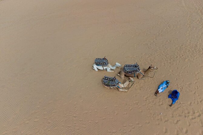 Agadir Sand Dunes and Camel Ride in Tifnit with Lunch - Is $114.98 a fair price?