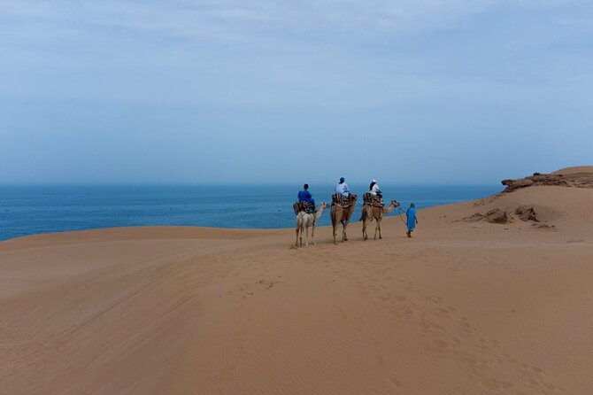 Agadir Sand Dunes and Camel Ride in Tifnit with Lunch - Who will enjoy this day most?