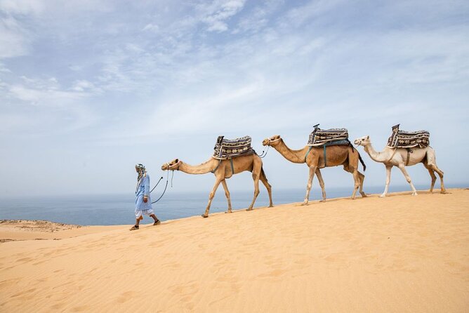 Agadir Sand Dunes and Camel Ride in Tifnit with Lunch - Reaching the Tifnit dunes