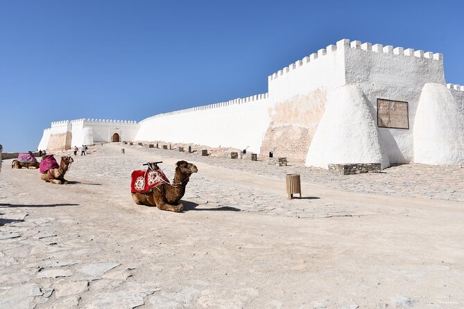 Agadir Sightseeing & Medina Polizzi Discovery - How much value do you get for $34.84?
