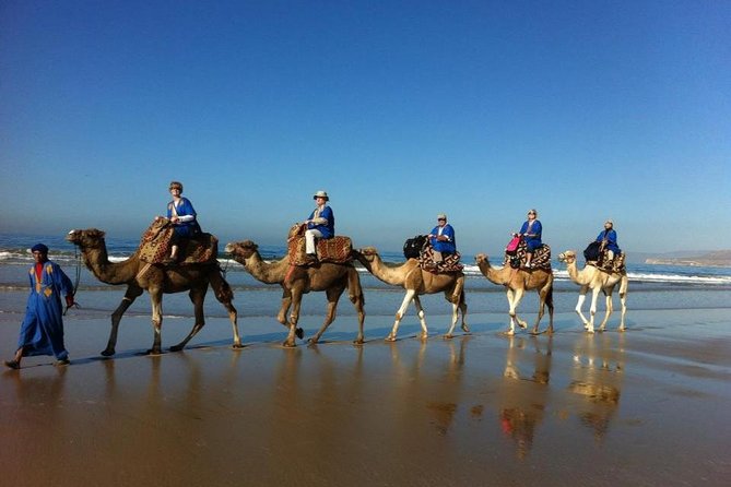 Agadir Sunset Camel Ride with Delicious Couscous & Barbecue - Key points to know before you book