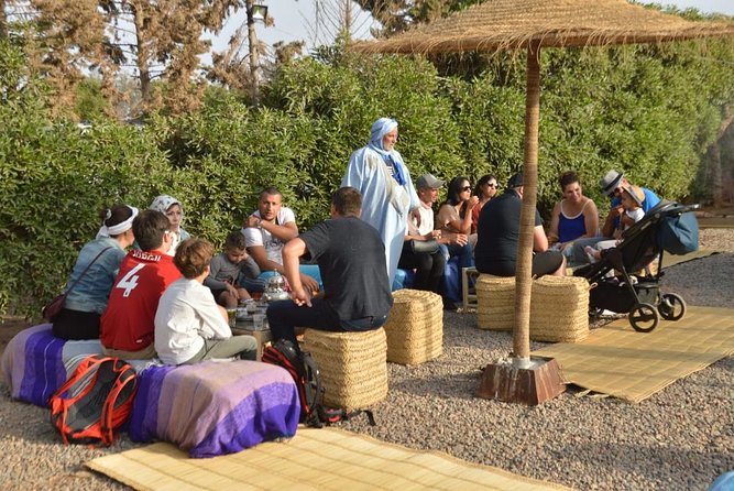 Agadir Sunset Camel Ride with Delicious Couscous & Barbecue - Choosing between a dromedary and a horse