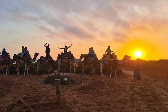 Agadir Sunset Camel Ride with Moroccan Barbecue & Hotel Transfers - What makes this Agadir evening worthwhile