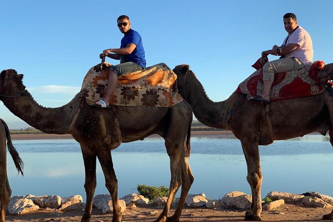 Agadir Sunset Camel Ride with Moroccan Barbecue & Hotel Transfers - A 7:00 pm start keeps the evening easy