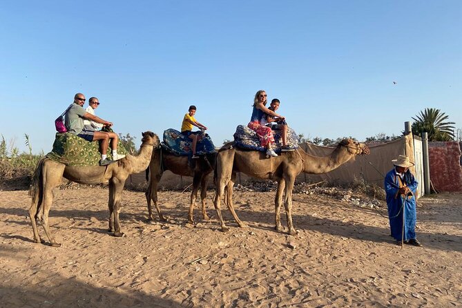 Agadir Sunset Camel Ride with Moroccan Barbecue & Hotel Transfers - Who should book this evening?