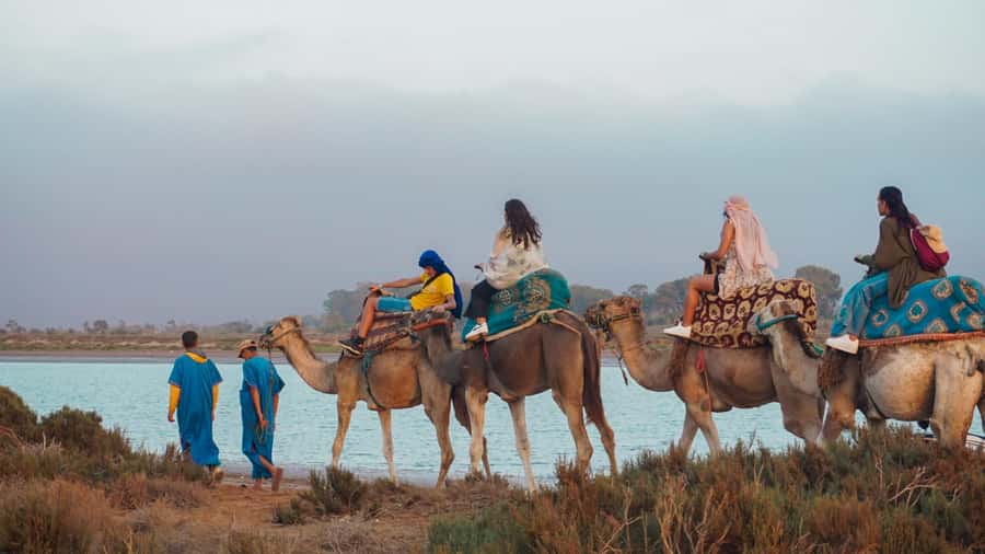 Agadir/Taghazout: Camel Ride with Tea Drink and Transfers - Key points to know before booking