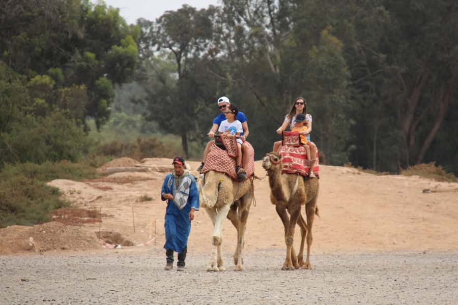 Agadir/Taghazout: Camel Ride with Tea Drink and Transfers - The route through open ground near Agadir