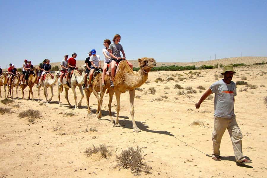 Agadir/Taghazout: Camel Ride with Tea Drink and Transfers - Is the $21 price good value?