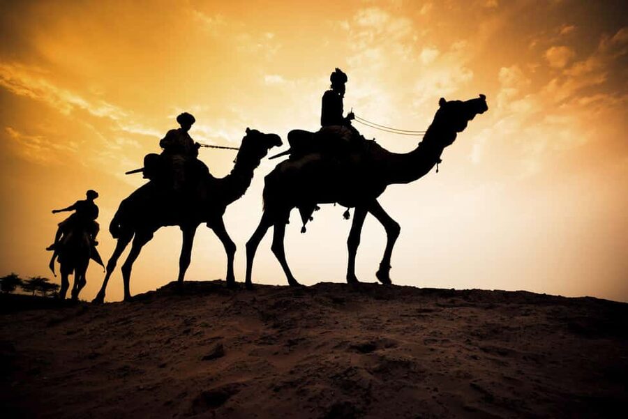Agadir/Taghazout: Camel Rides with Tea Drink and Transfers - Practical advice for a smoother ride