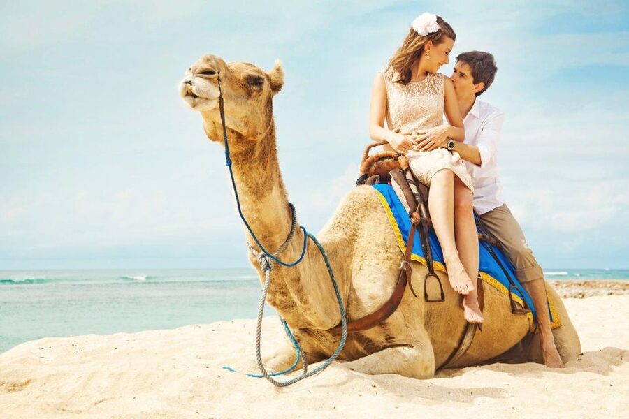 Agadir/Taghazout: Camel Rides with Tea Drink and Transfers - The two-hour ride toward the beach and Souss River