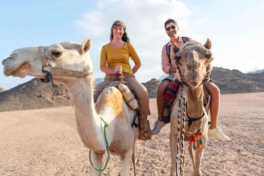 Agadir/Taghazout: Camel Rides with Tea Drink and Transfers - Mint tea and biscuits at the end