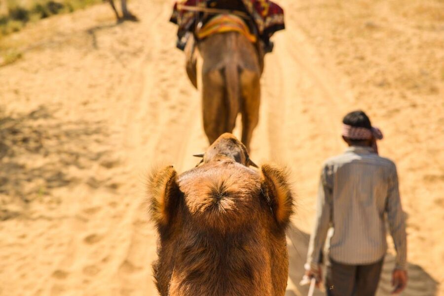 Agadir/Taghazout: Camel Rides with Tea Drink and Transfers - Who will enjoy this activity most?