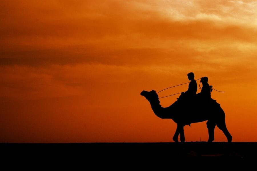 Agadir/Taghazout: Camel Rides with Tea Drink and Transfers - Is $22 a fair price?