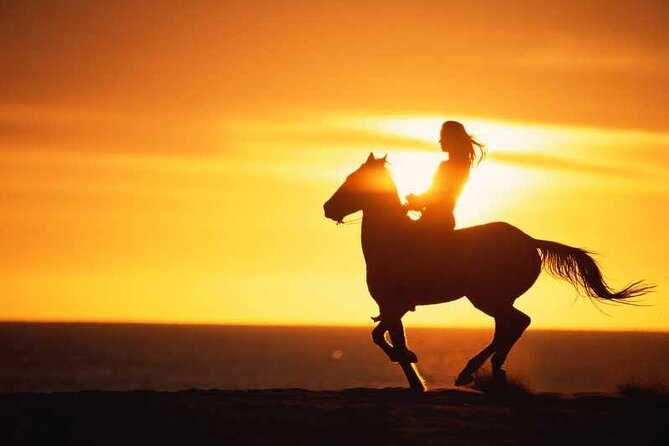Agadir/Taghazout Horse Ride on the beach - Key points before you book