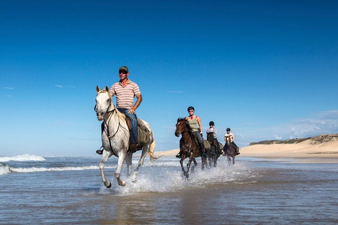 Agadir/Taghazout Horse Ride on the beach - The 6-kilometer beach ride