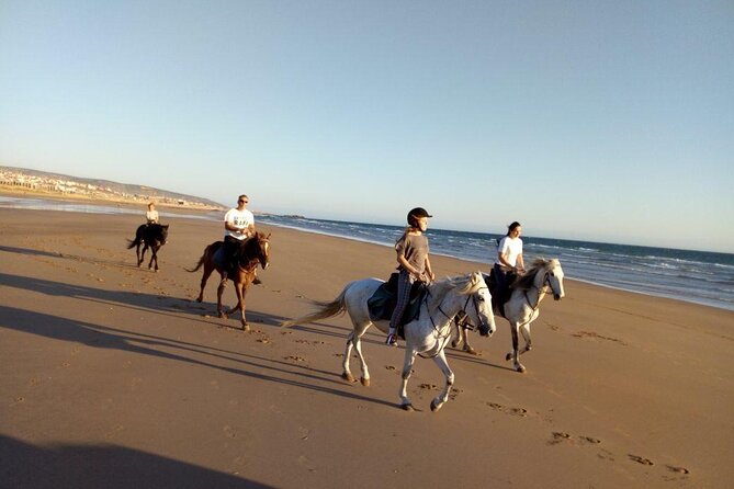 Agadir/Taghazout Horse Ride on the beach - How the ride works for beginners and experienced riders