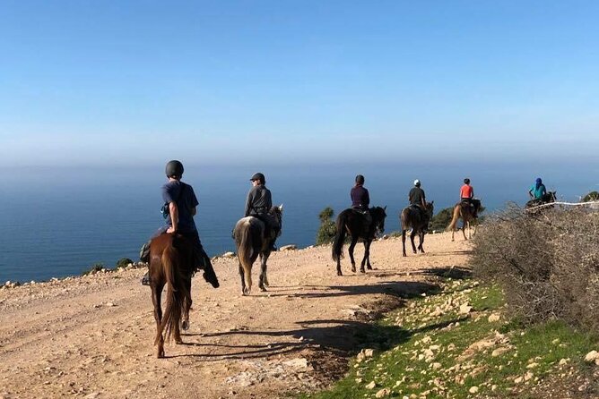 Agadir/Taghazout Horse Ride on the beach - A friendly staff and a relaxed finish