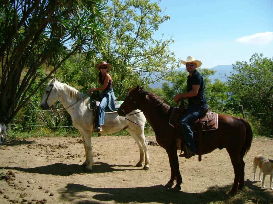 Agadir/Taghazout: Horse Rides Experience With Transfers - Key points before you book