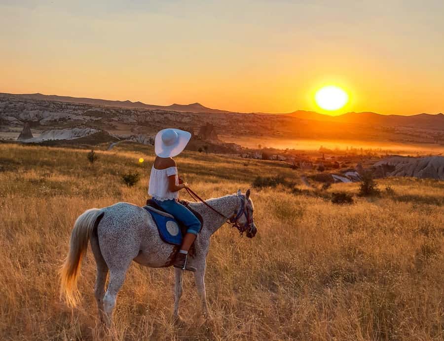 Agadir/Taghazout: Horse Rides Experience With Transfers - What this Agadir horse ride is really like