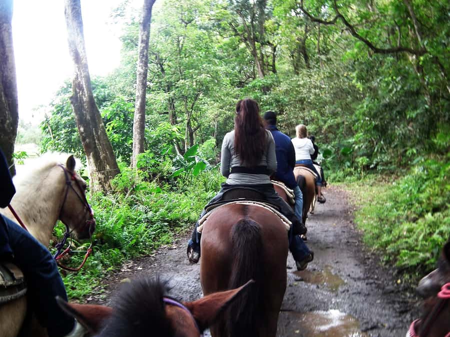 Agadir/Taghazout: Horse Rides Experience With Transfers - The first minutes in the saddle