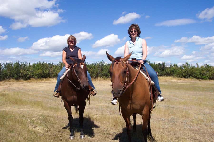 Agadir/Taghazout: Horse Rides Experience With Transfers - How much interaction should you expect?