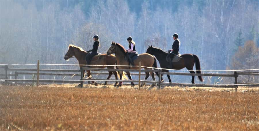 Agadir/Taghazout: Horse Rides Experience With Transfers - Who will enjoy this most?