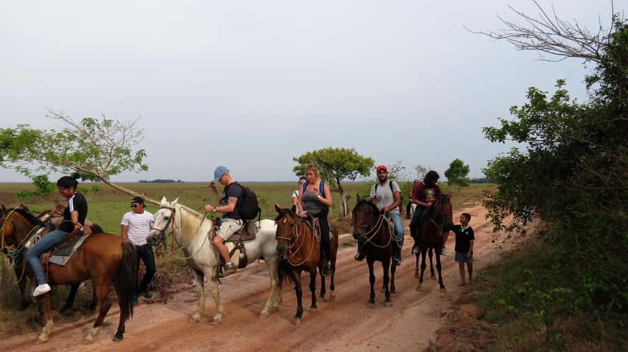 Agadir/Taghazout: Horse Rides Experience With Transfers - Booking advice for Agadir and Taghazout