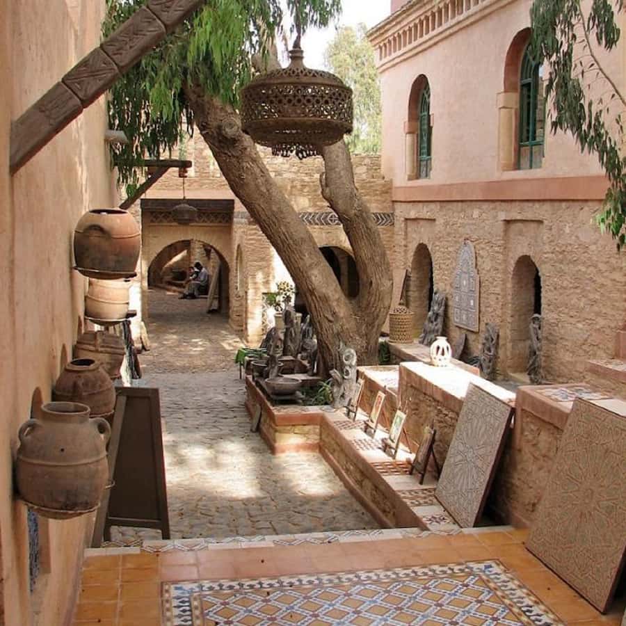 Agadir/Taghazout: Old Medina of Coco Polizzi and Agadir Tour - What happens at the argan oil factory