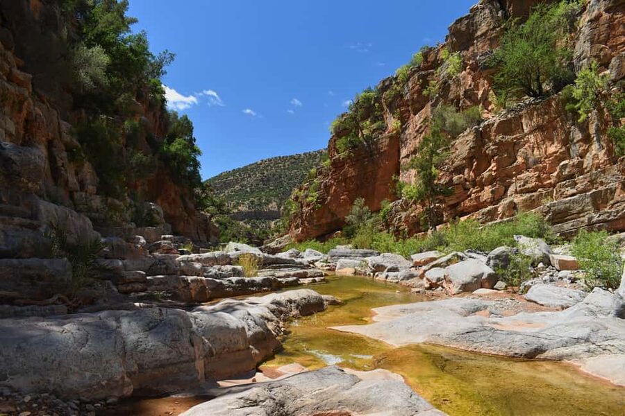 Agadir/Taghazout: Paradise Valley Atlas Mountains Trip - A botanical garden and the argan oil stop