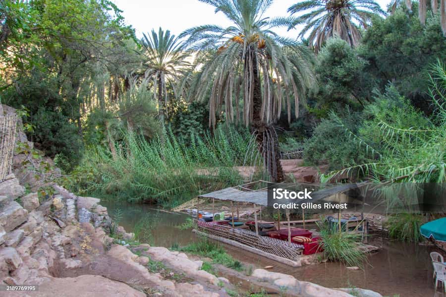 Agadir/Taghazout : Paradise Valley & Sandboarding with Lunch - A seven-hour route from Agadir to Paradise Valley